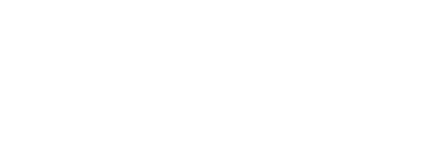 logo caisal
